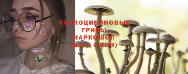 MESCALINE Арсеньев