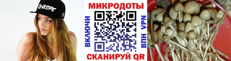 гидра tor  Партизанск  Галлюциногенные грибы мухоморы  продажа наркотиков 